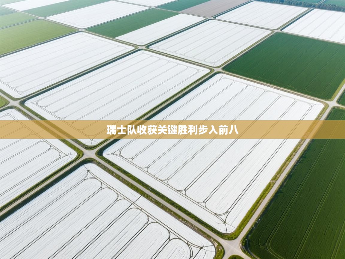 瑞士队收获关键胜利步入前八 第1张