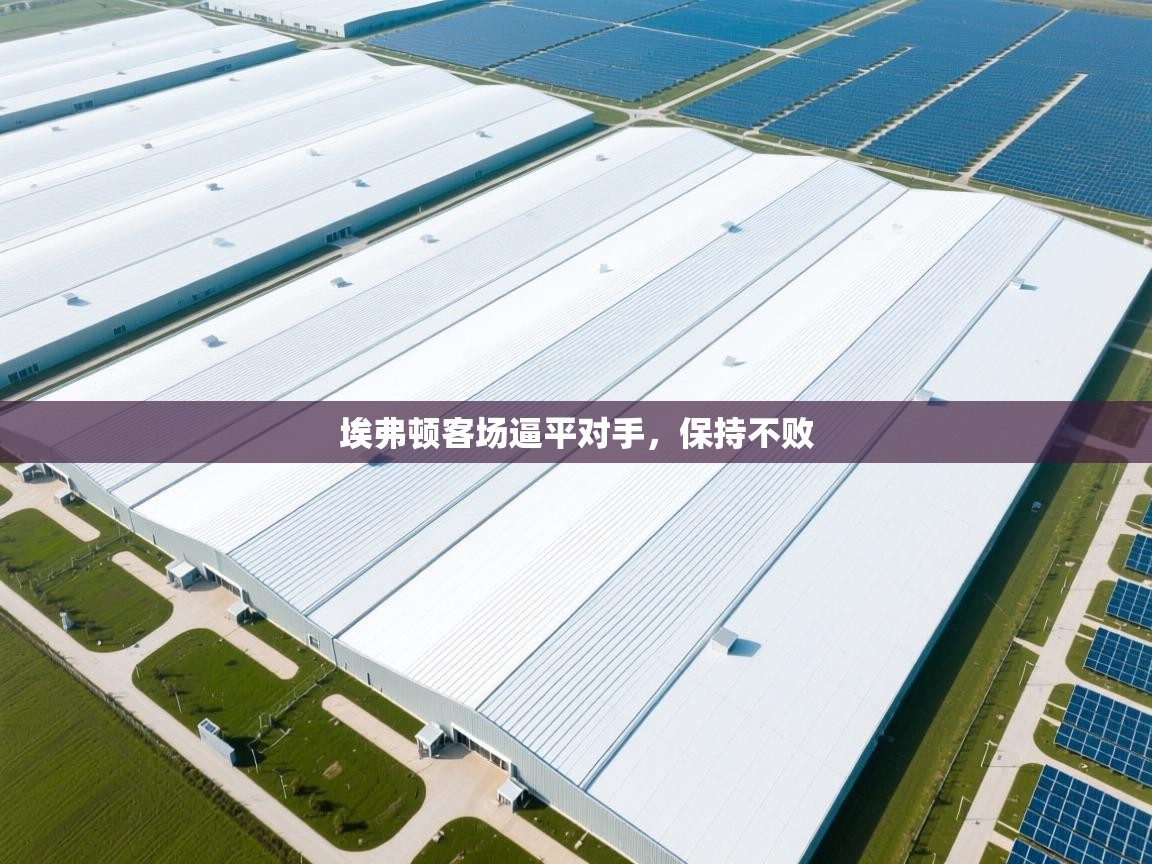 埃弗顿客场逼平对手,保持不败 第2张