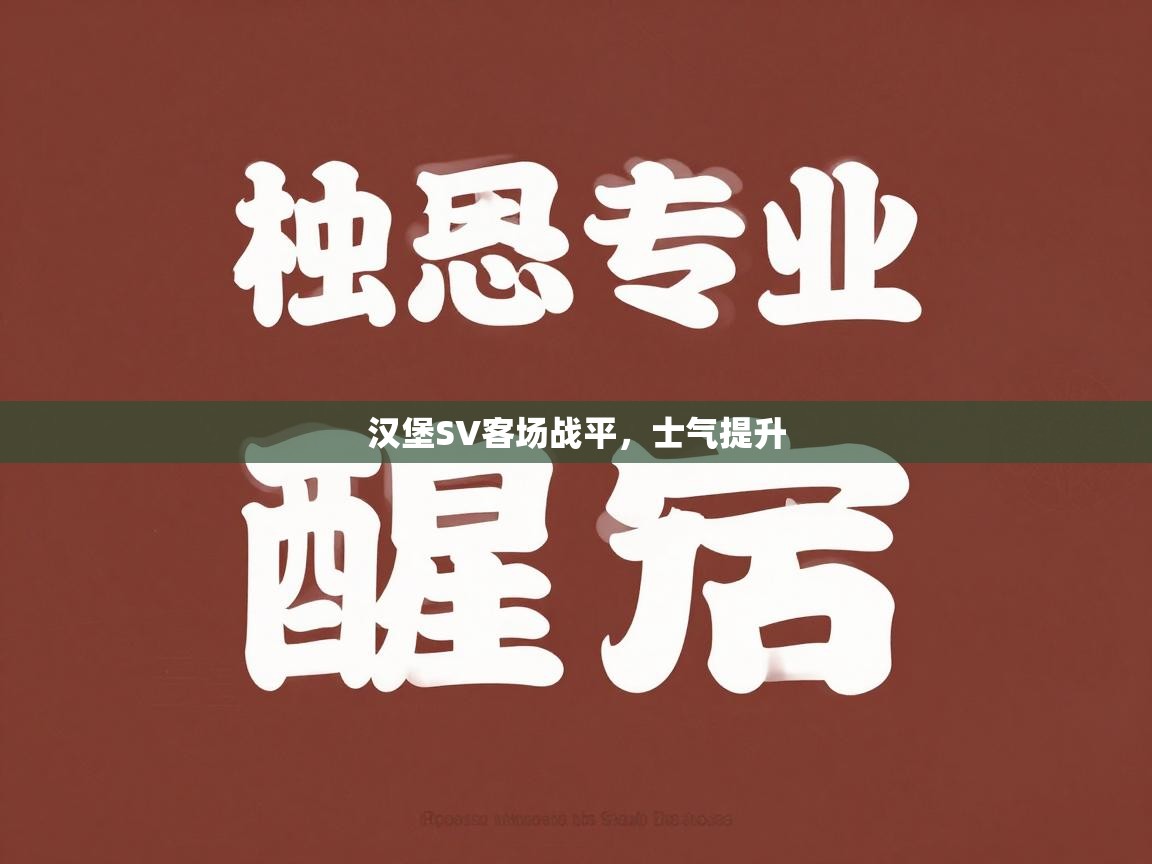 汉堡SV客场战平，士气提升  第2张