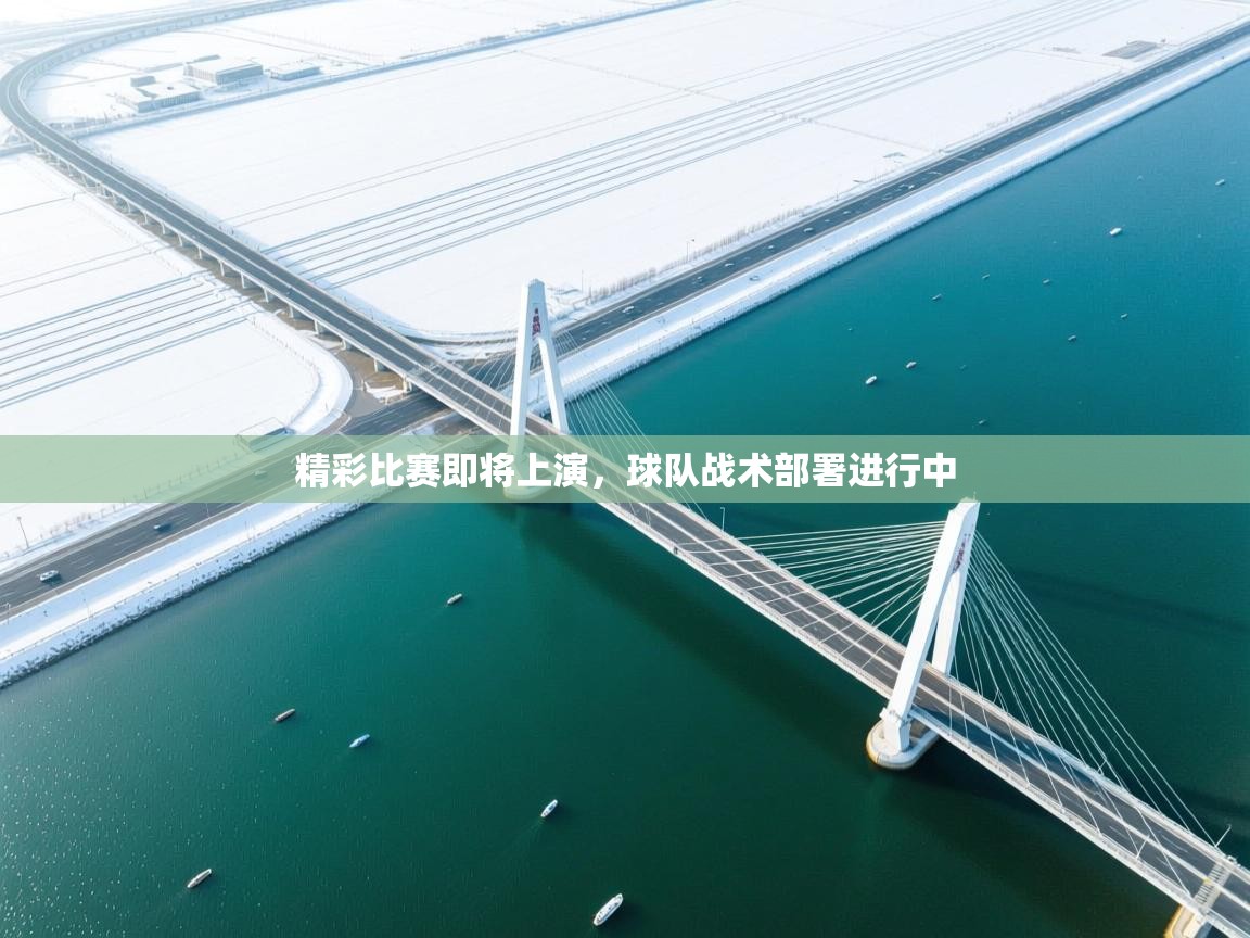 精彩比赛即将上演，球队战术部署进行中  第2张