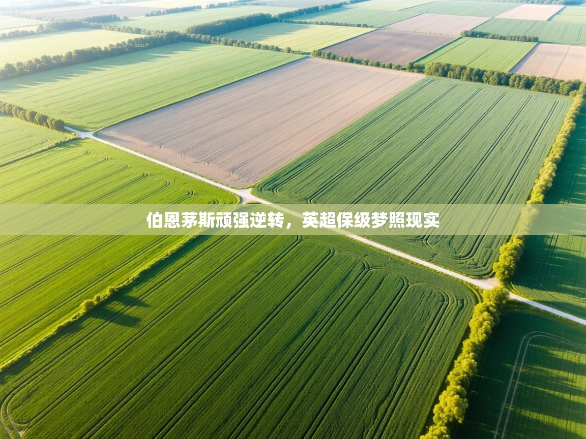 伯恩茅斯顽强逆转,英超保级梦照现实 第1张